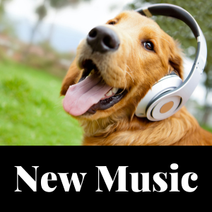 picture of dog with headphones, text says new music